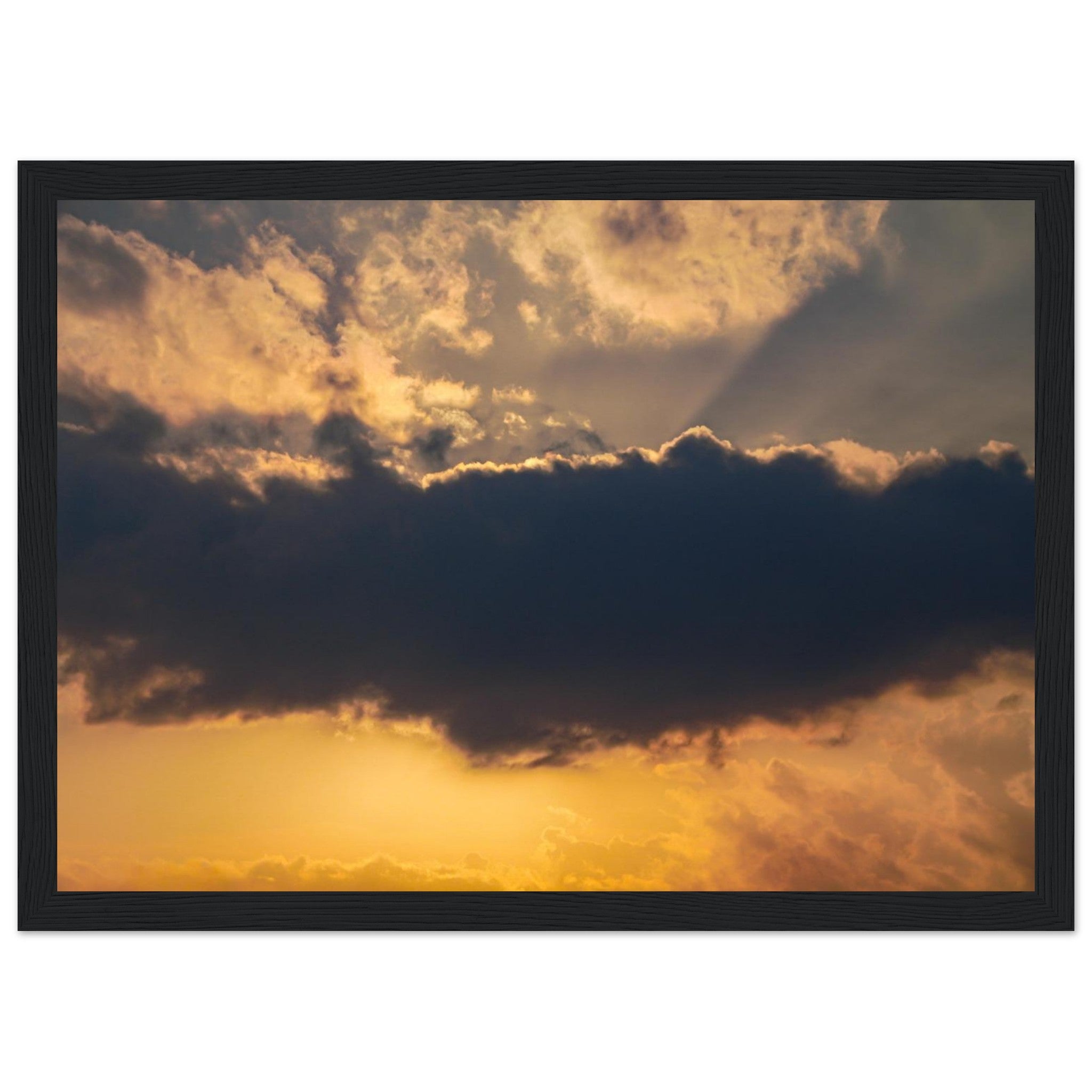 294809d8-90ef-4d61-b028-796826664338