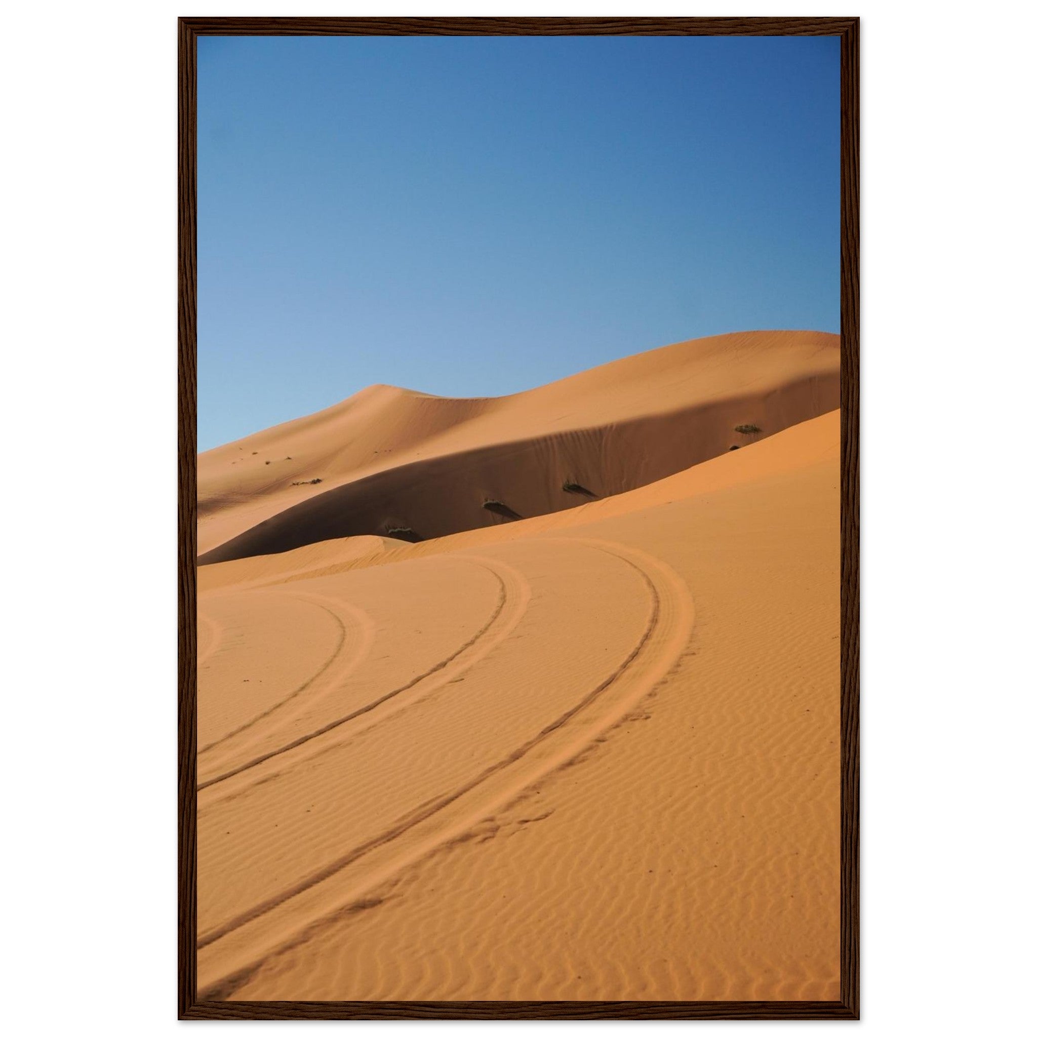 2b3aadad-7ac2-405a-93f8-a64464426887