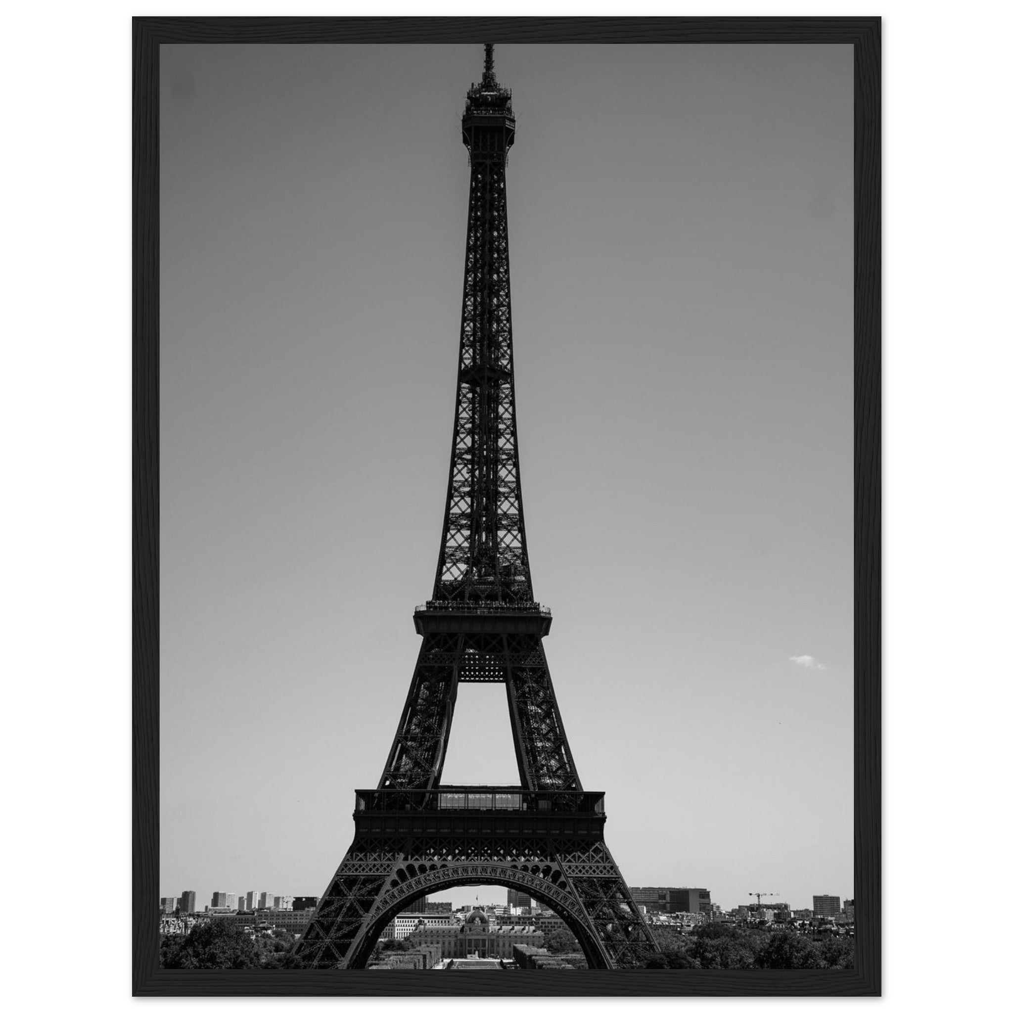 31371177-499d-408d-8a2e-d6c0216427e3