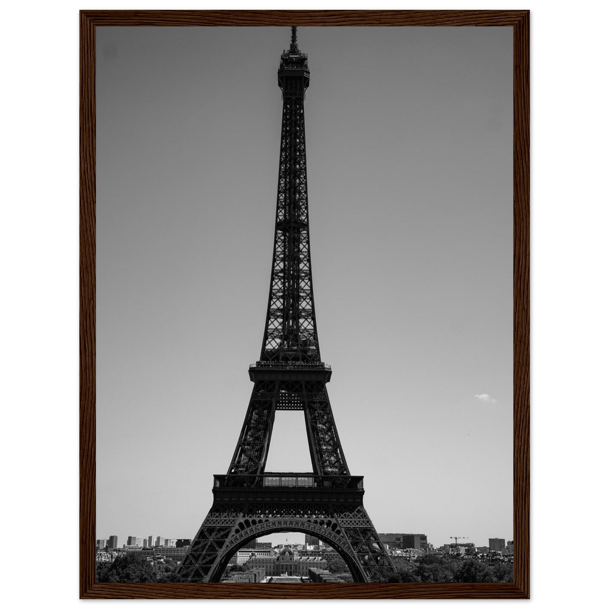 5bed443f-b44c-4a5a-bc5e-47f2051af572