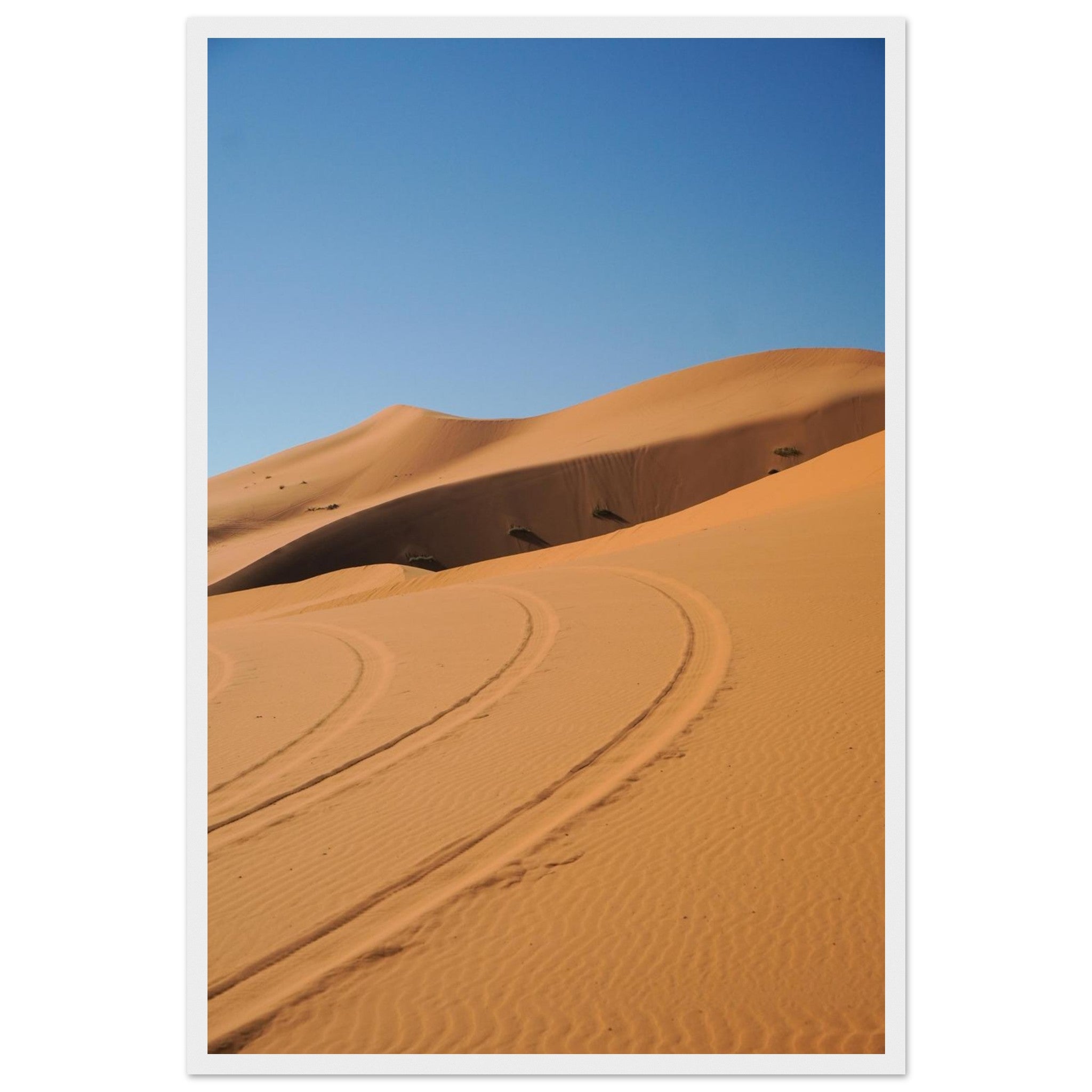 6c6c3fd8-45fb-4bb2-bffc-7dab683181a6