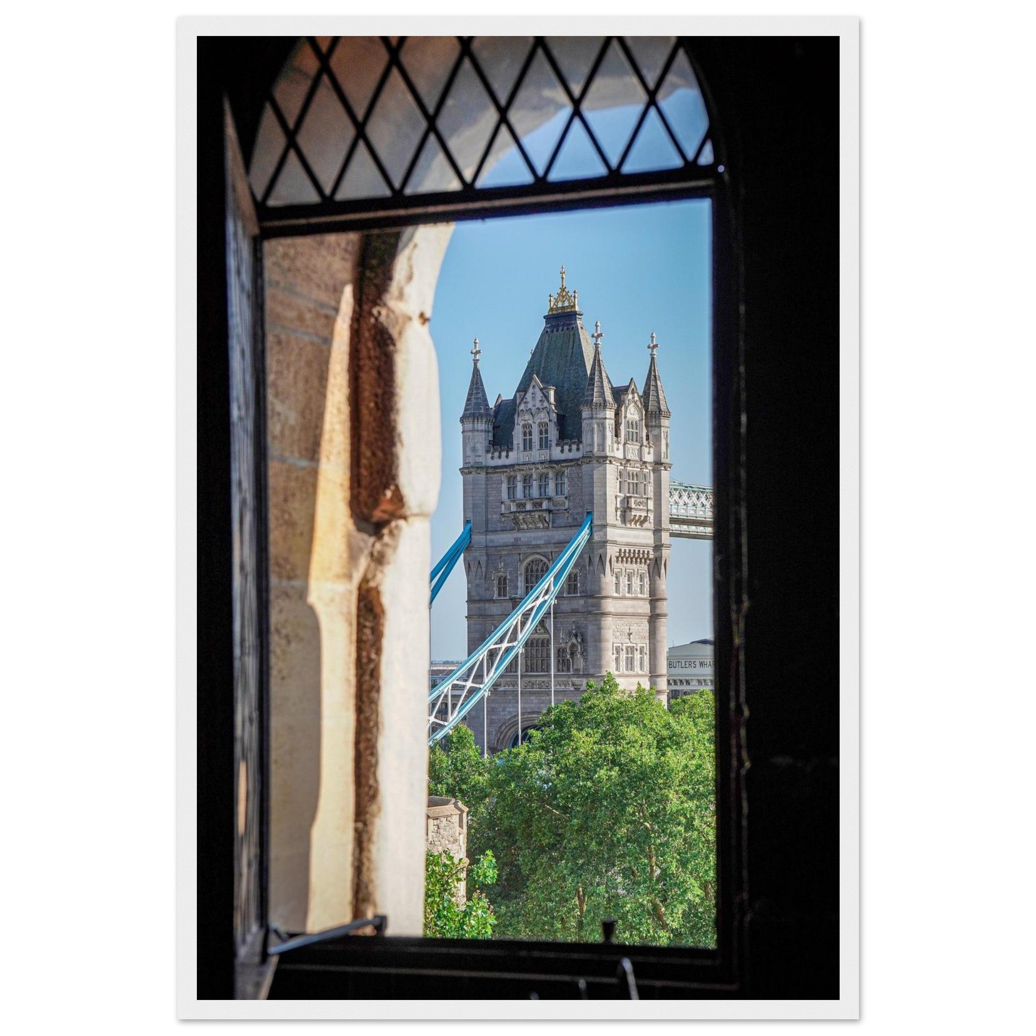 c6d39b33-3861-43f8-b544-c9e9725bb162