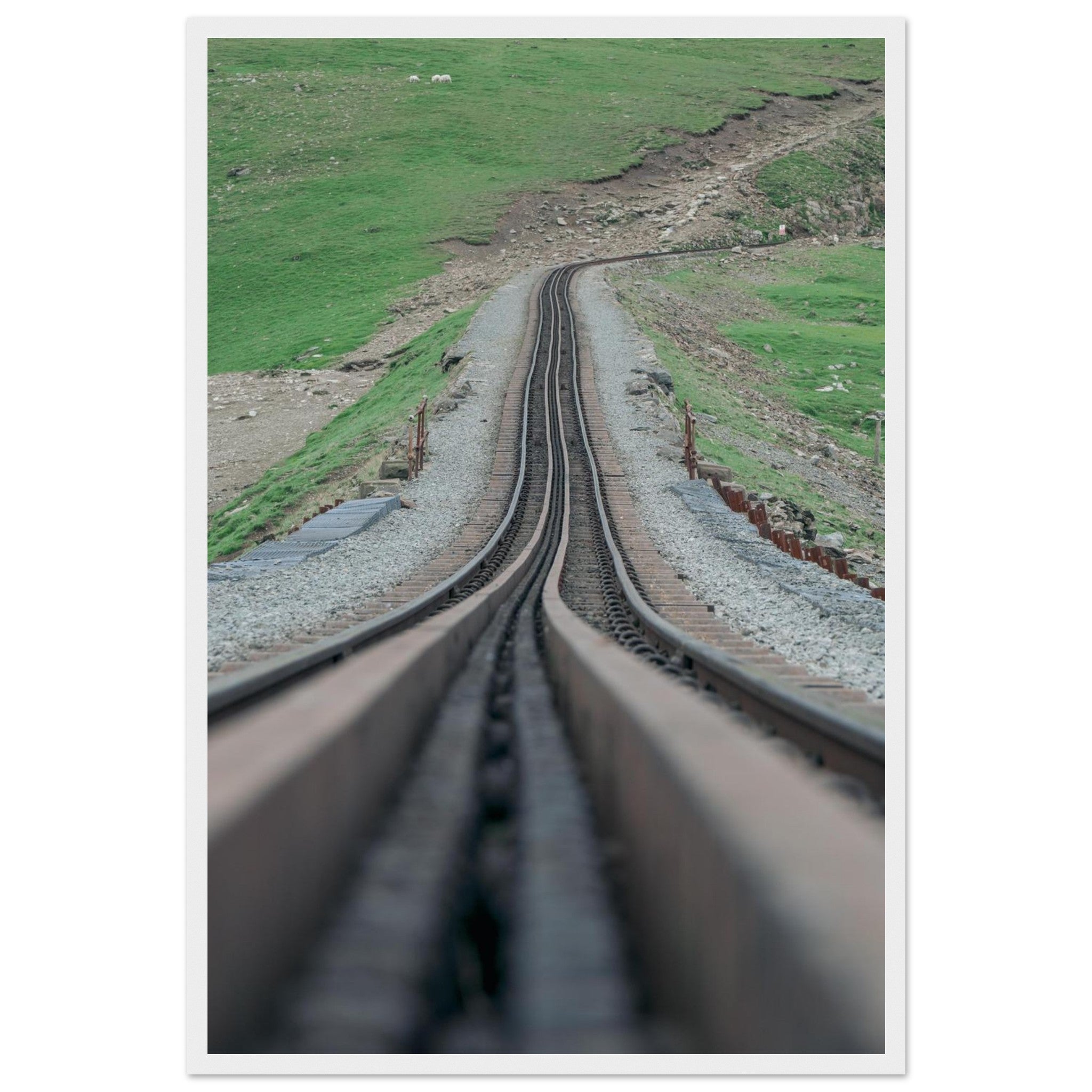 f54b3539-cee6-4bd3-bb3b-b505a342180f