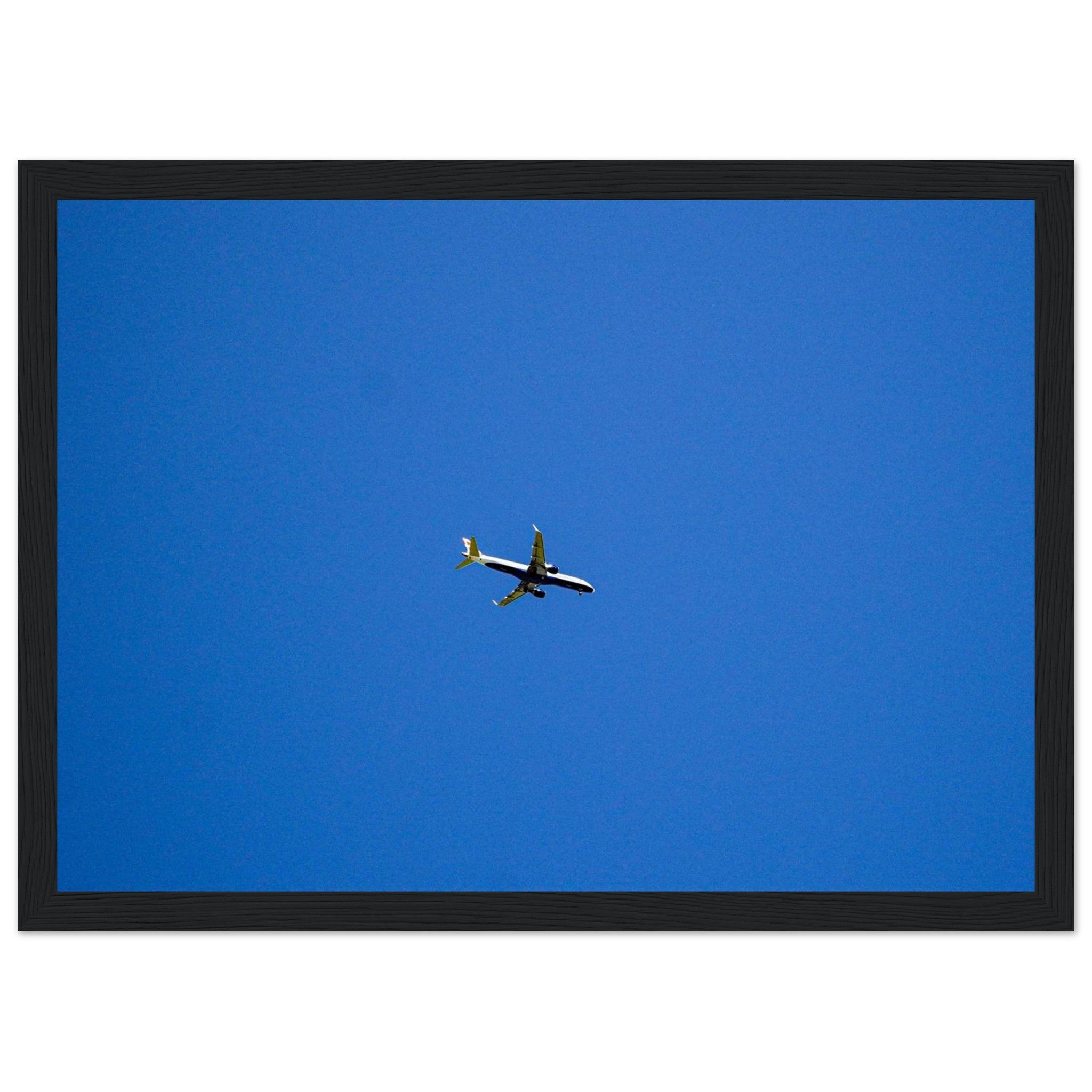 fe69aa53-ee9e-4149-afcb-a007a4246c26