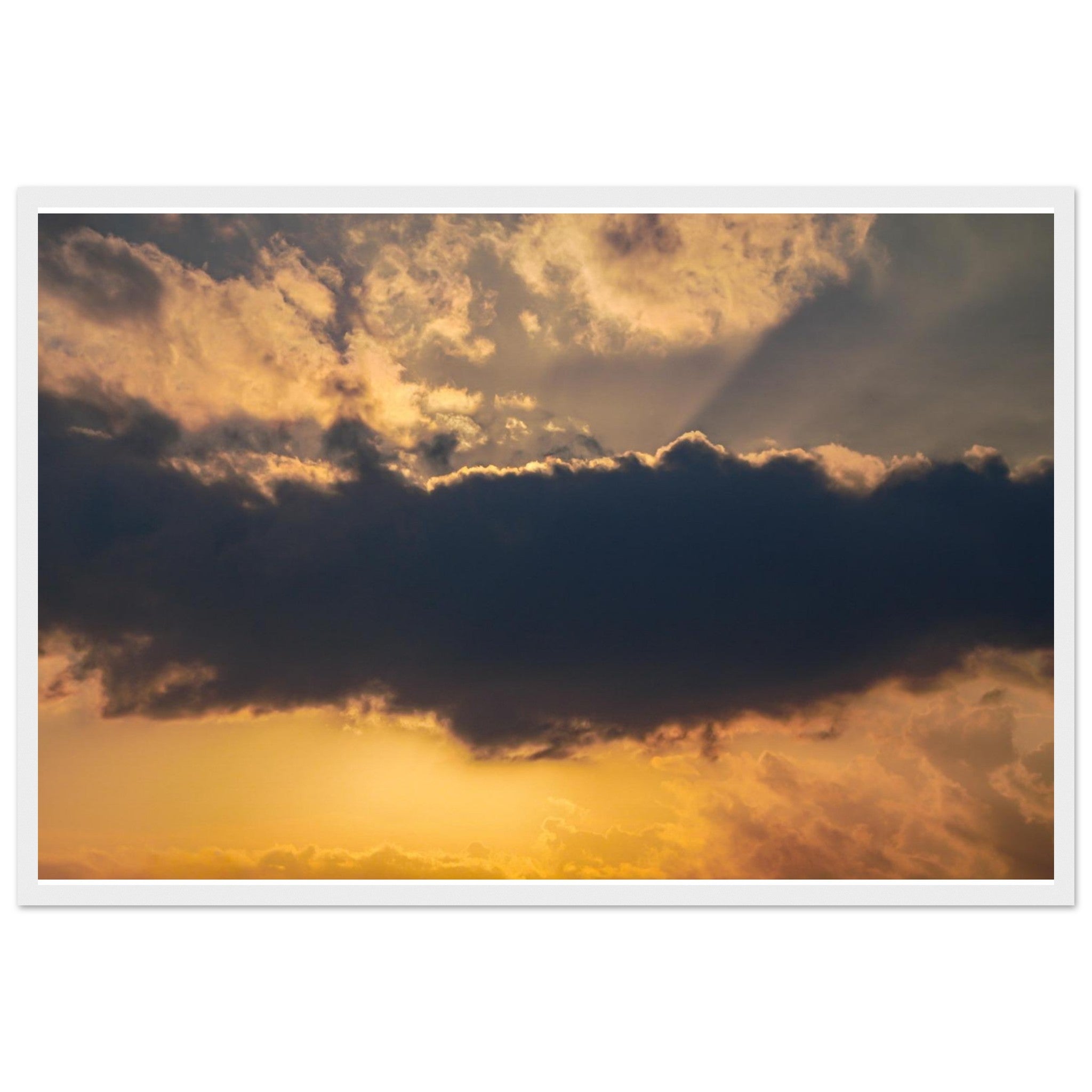 13e044e5-9cef-4e7b-b752-d87e0d39d694