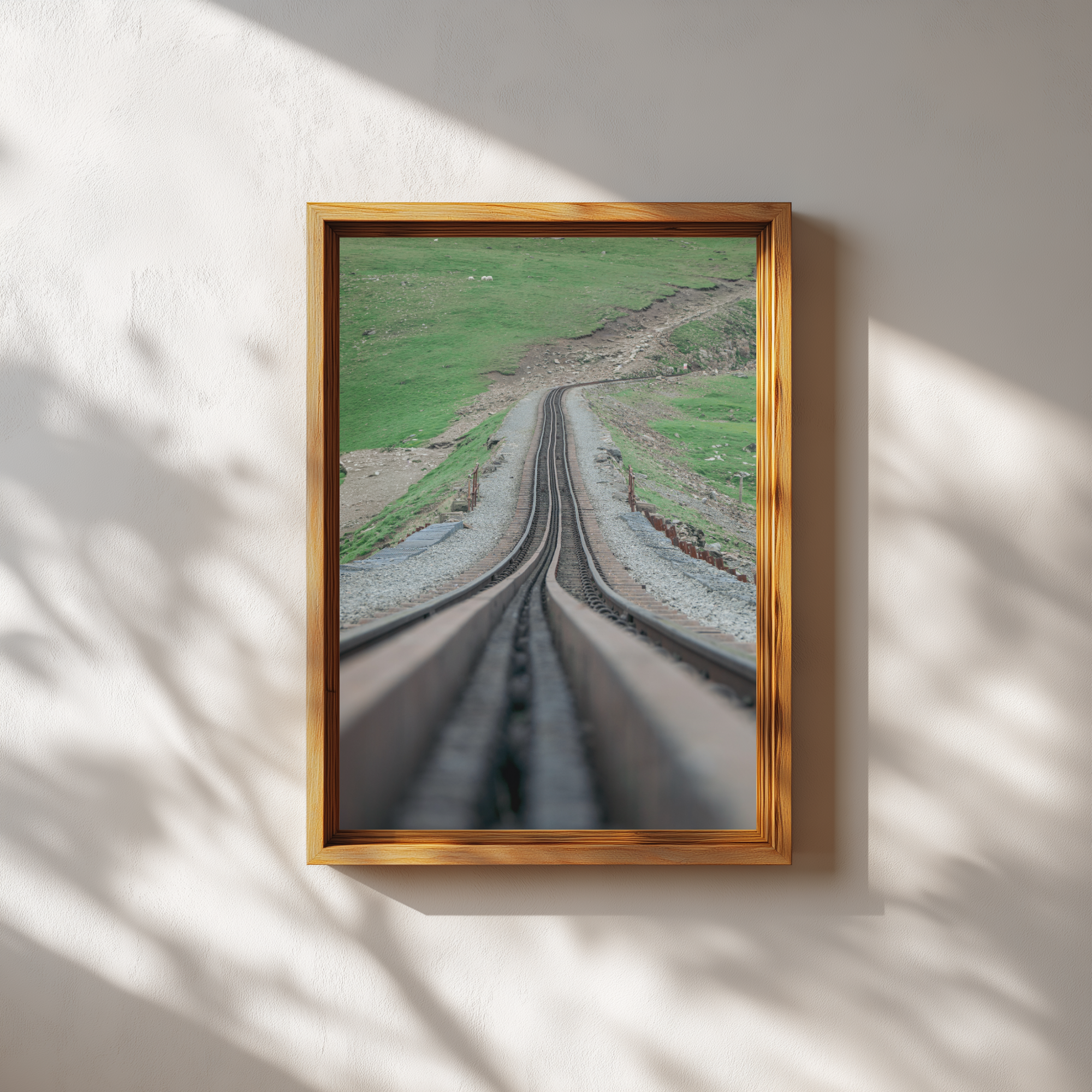 The Track Ahead