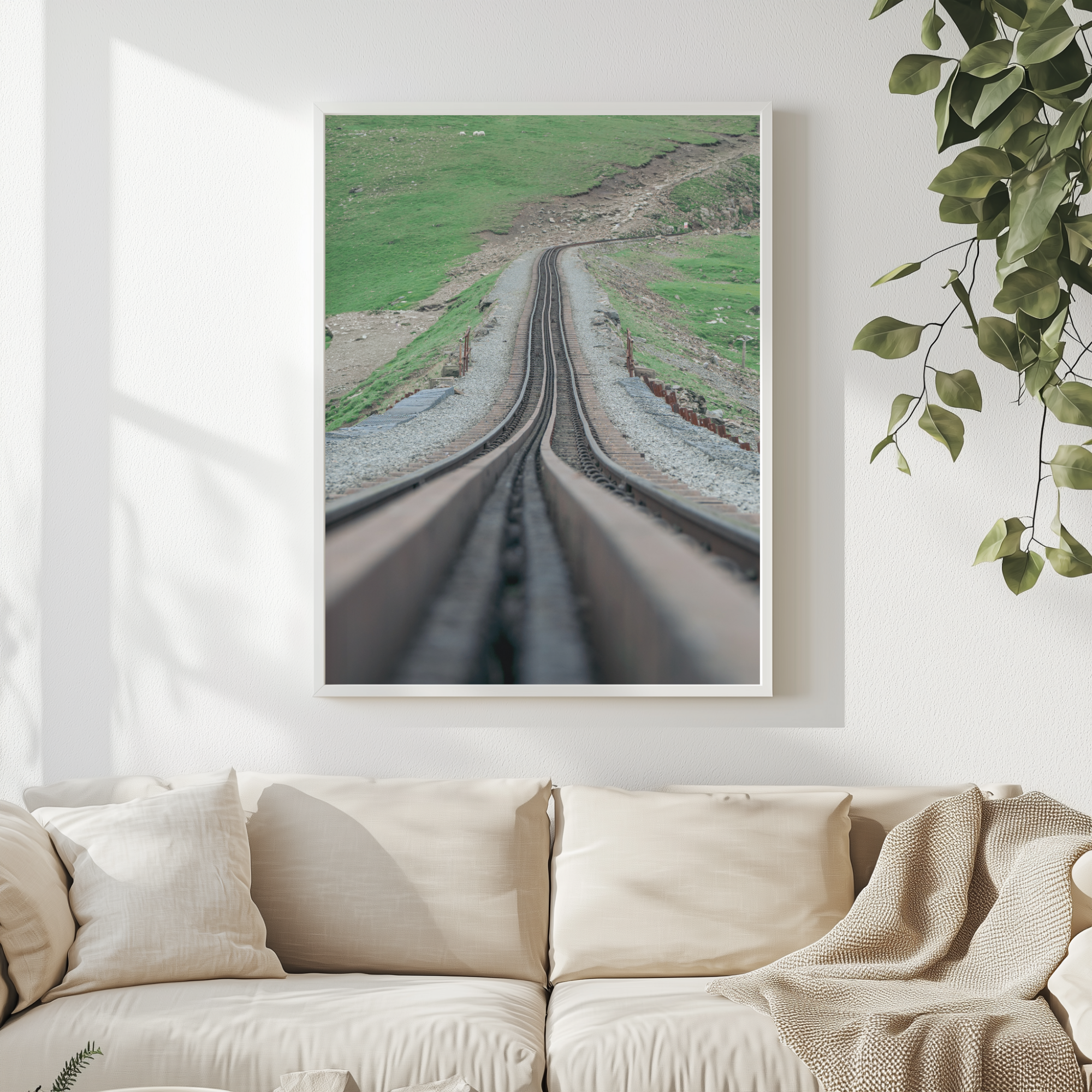 The Track Ahead