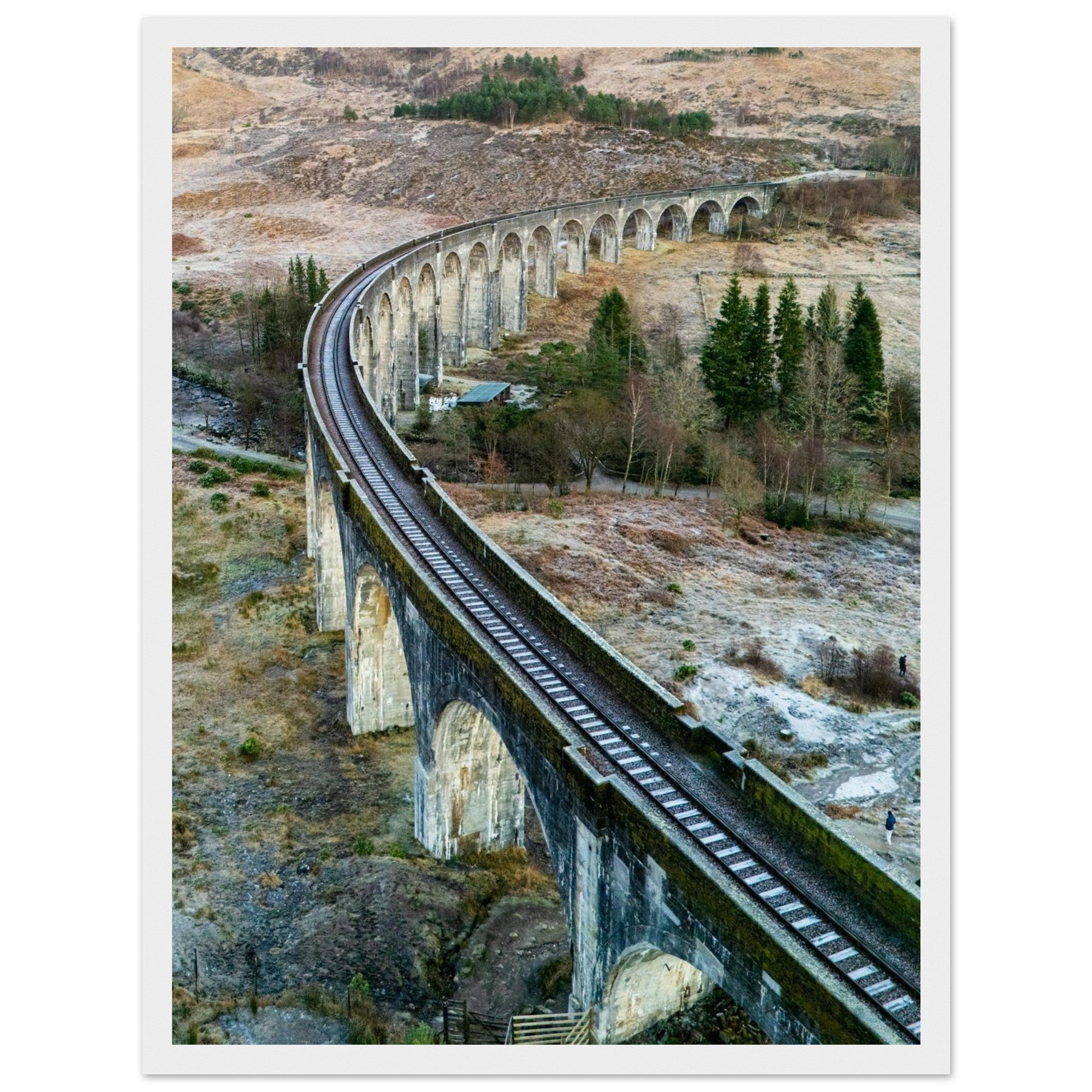 bf242303-24da-4cf6-a192-2c0a7b5422f7