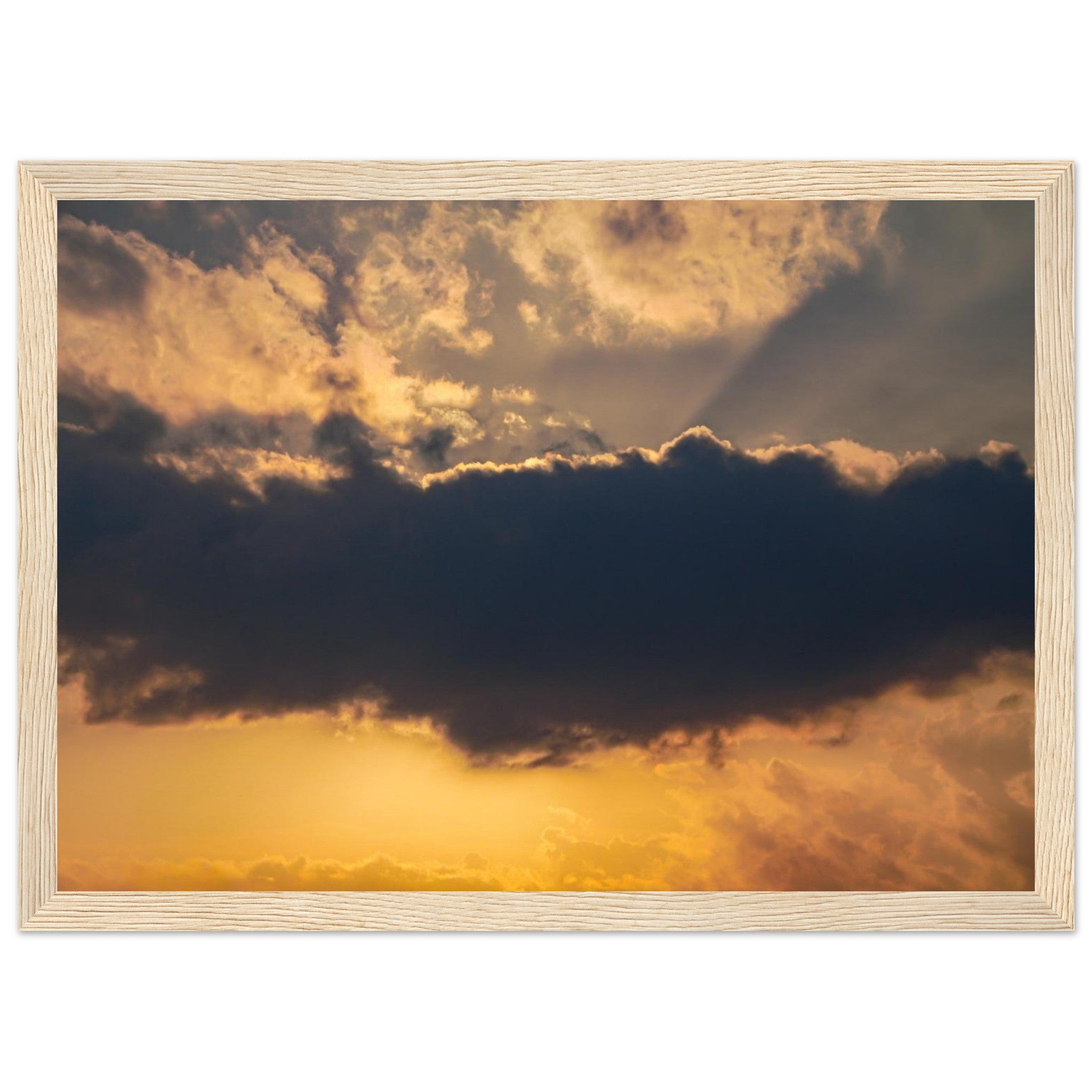 c280c39c-fa1a-4443-b8c6-b2314f6f99d0