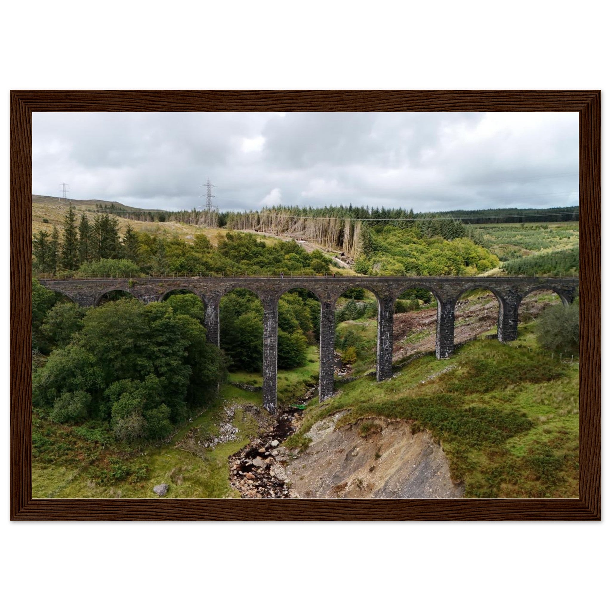 c8a0c9c5-206a-4b0d-a7d6-daf266a3674e