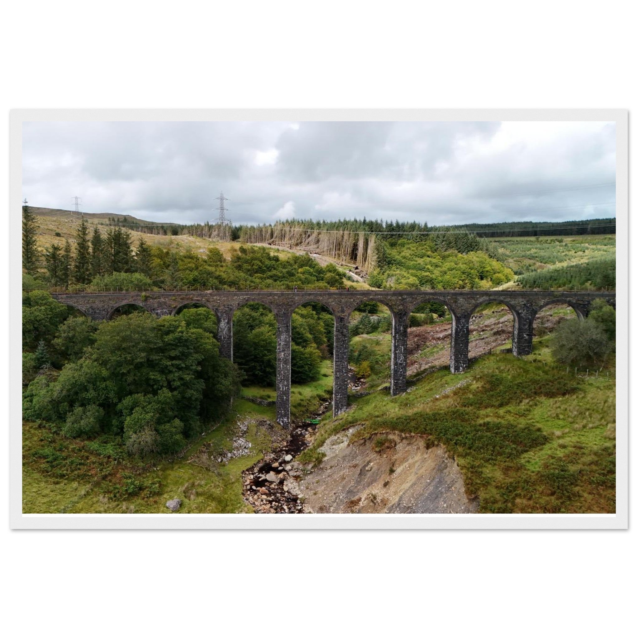 d09452dc-6510-4759-8c77-a47b0457fe0d