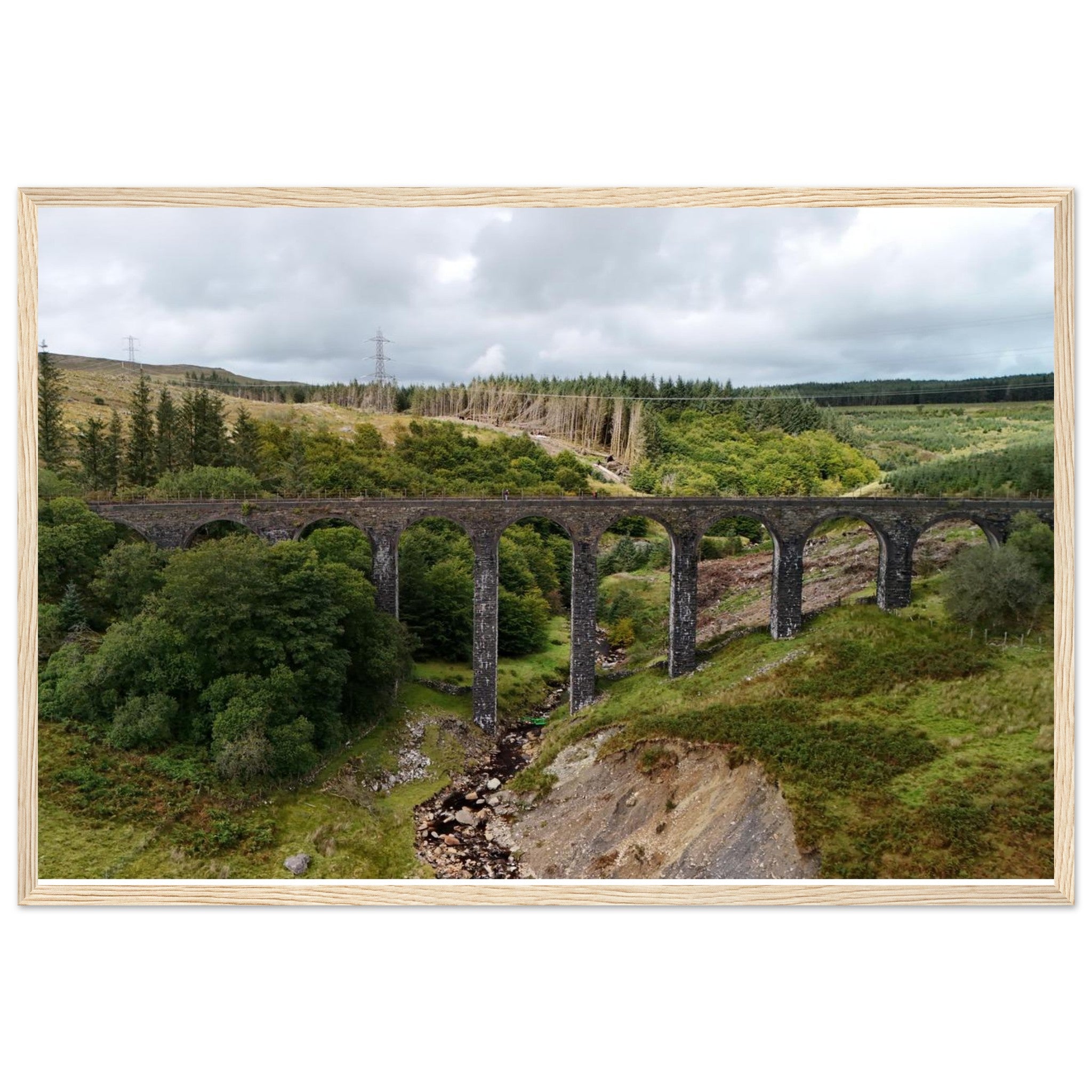 e8c210a8-335f-4bcb-a833-78413b3e08e9