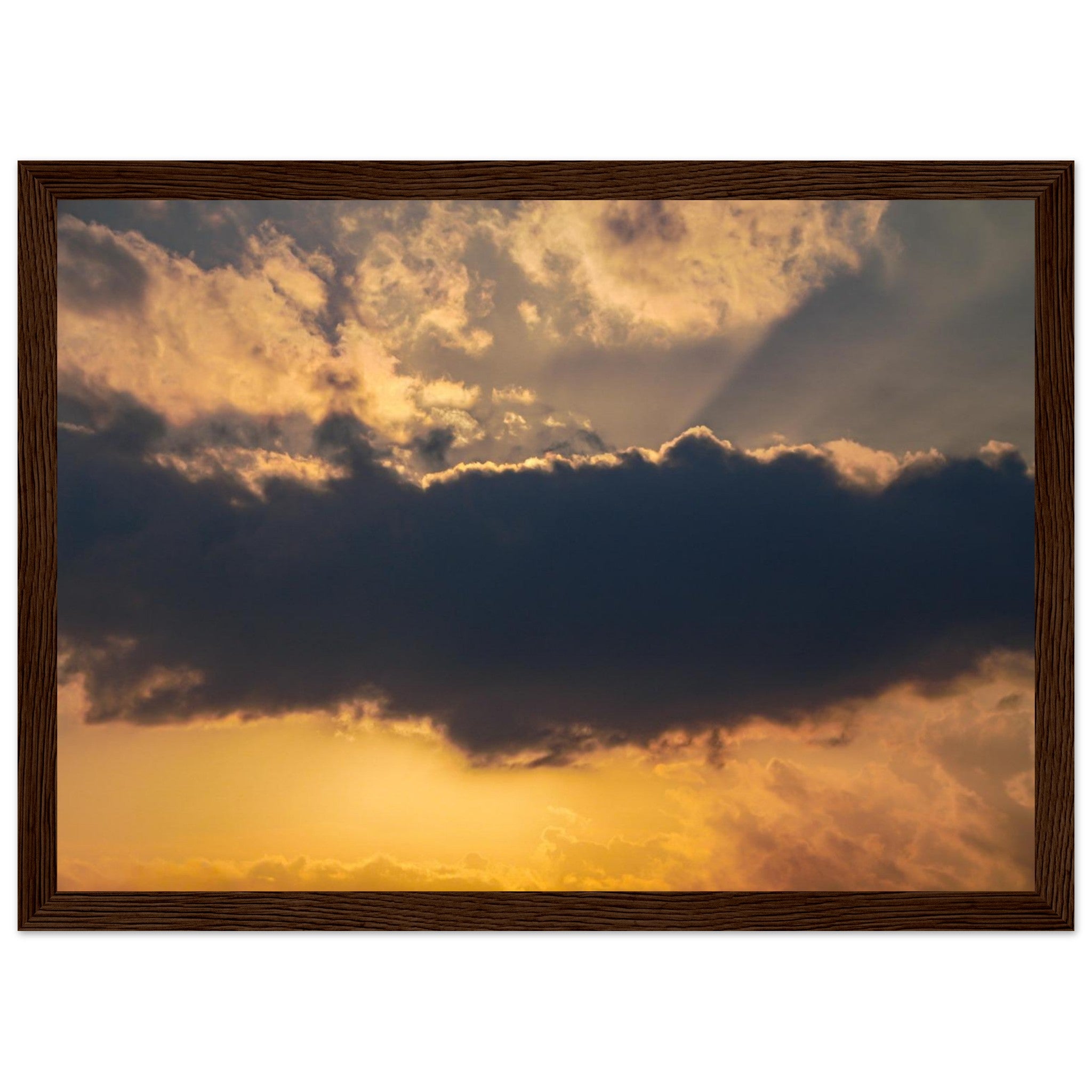 f74f5017-57fc-4bd1-b714-621ab5448905