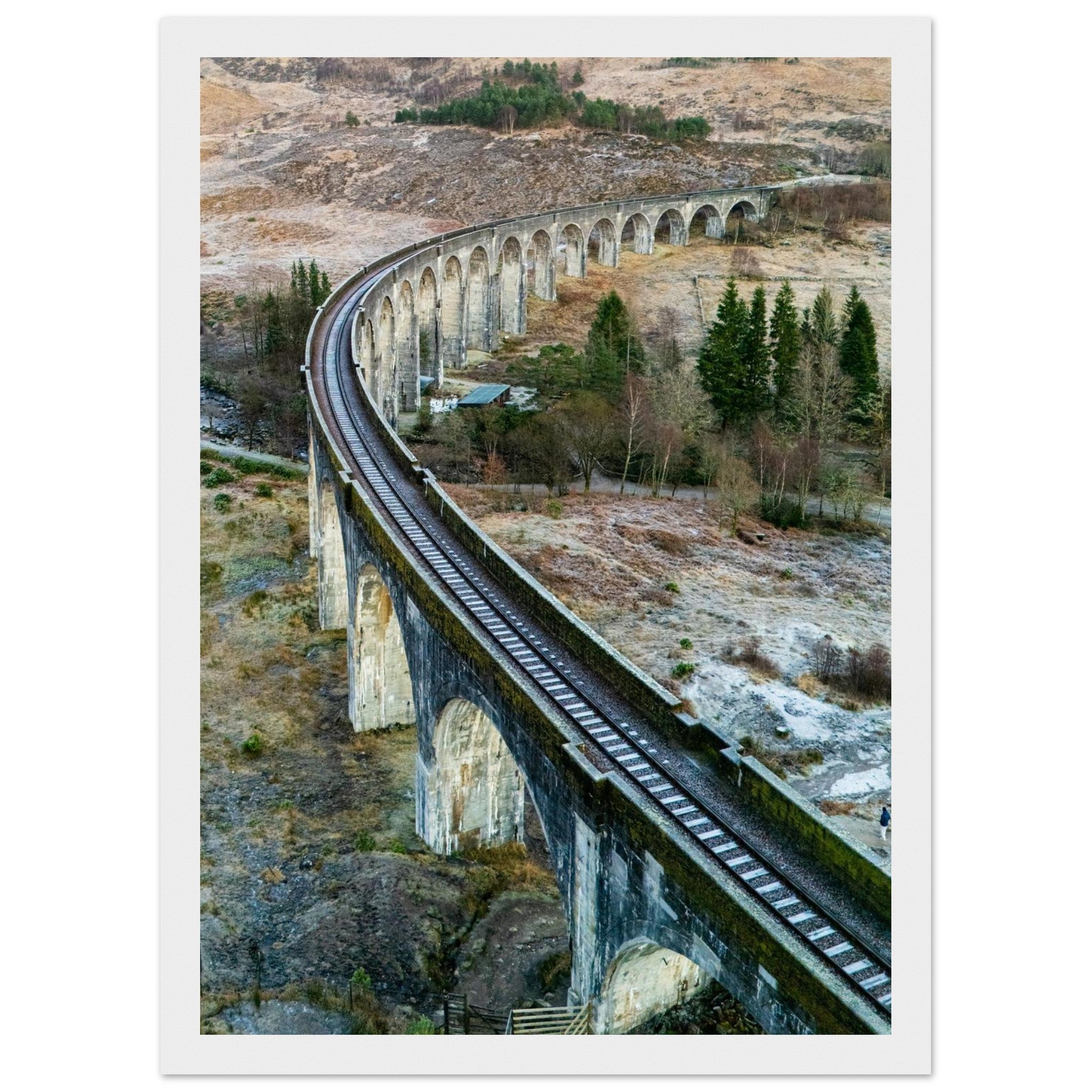 fffaa2e5-0f28-4b22-a5f4-ced1855db019